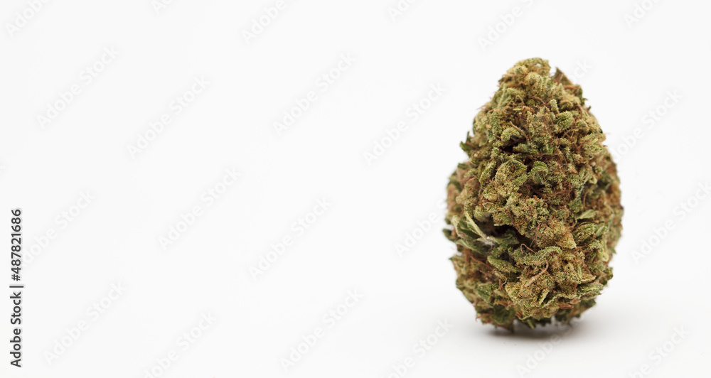 marijuana buds with space for text, white background marijuana buds with space for text, white background