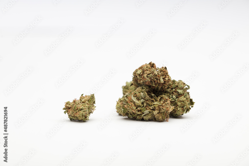 marijuana buds with central space for text, white background marijuana buds with central space for text, white background
