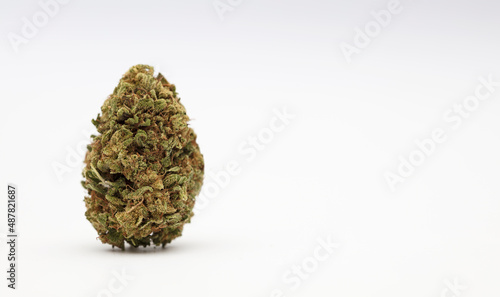 marijuana buds with space for text, white background