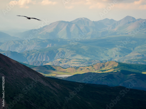Photography Mountains in the distance with fog