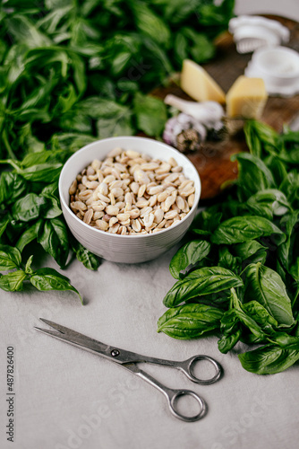 Photo of a fresh healthy ingridients like green basil, fresh garlic, roast nut, parmegiano cheese to make homemade pesto sauce on a wooden desk indoors daylight photo