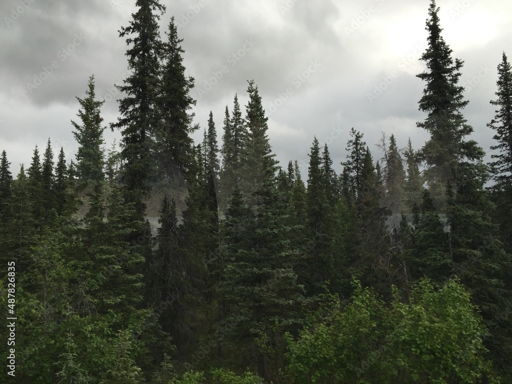 Alaska Wilderness