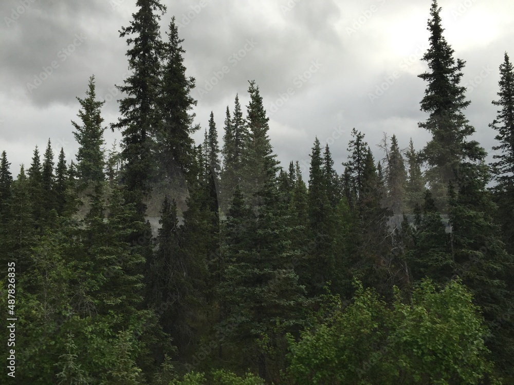 Alaska Wilderness Alaska Wilderness