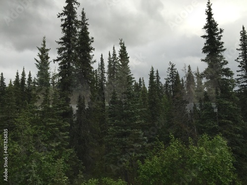 Alaska Wilderness