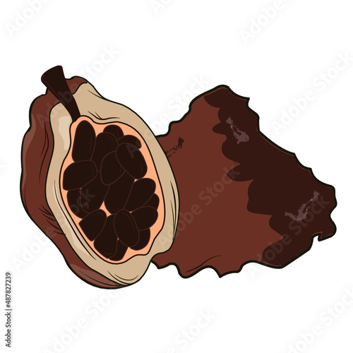 Cocoa bean, lose cocoa powder, vector with white background