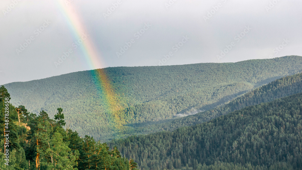 Fairytale rainbow over the forest valley Fairytale rainbow over the forest valley