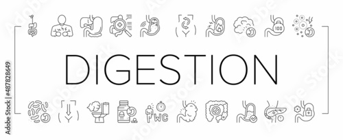 Digestion Disease And Treatment Icons Set Vector .