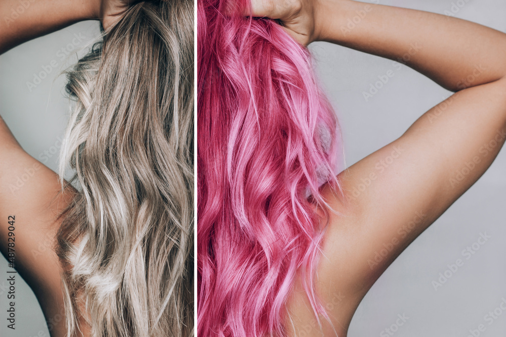 Close-up of the wavy hair of a young blonde woman before and after hair  coloring in pink isolated on a gray background. Result of coloring,  highlighting, perming. Beauty and fashion Stock Photo |