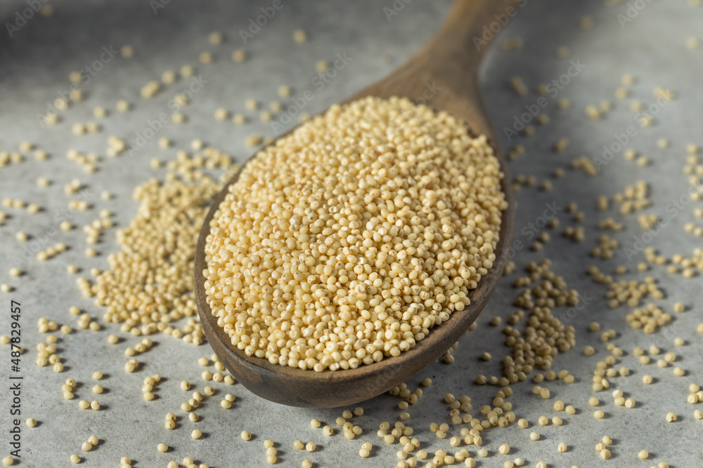 Raw Dry Organic Millet Grain Raw Dry Organic Millet Grain