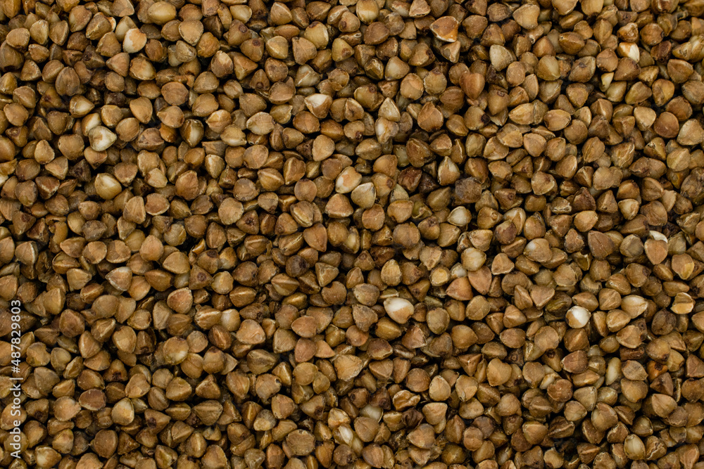 buckwheat groats close-up for the whole space buckwheat groats close-up for the whole space