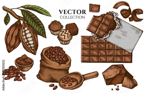 Badge design with colored cocoa beans, cocoa, chocolate, chocolate candies