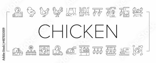 Chicken Meat Factory Collection Icons Set Vector .