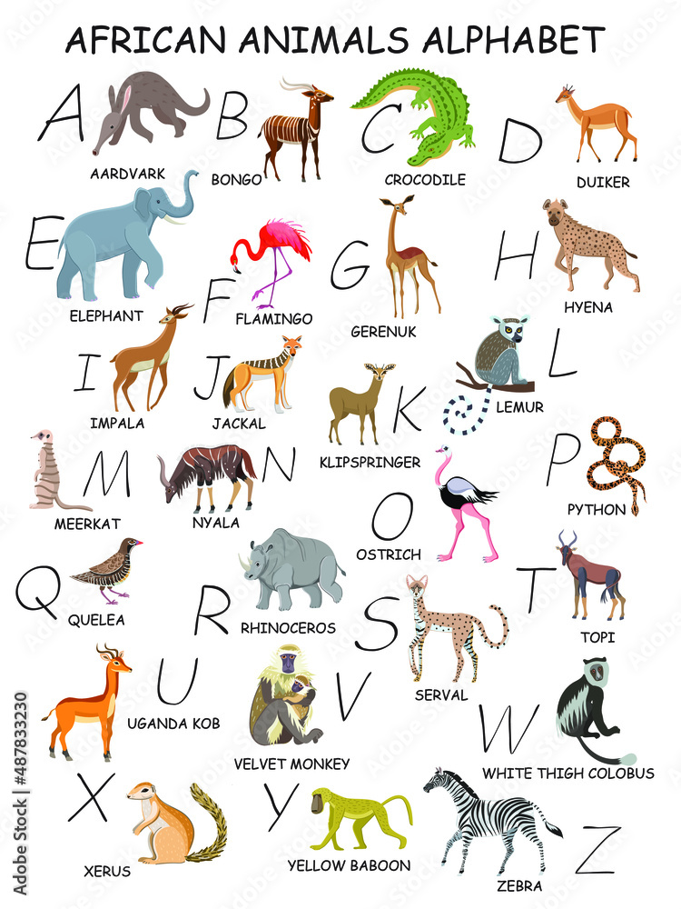 All African animals by alphabet. Aardvark, lemur, topi, white thigh  colobus, python, gerenuk, crocodile, baboon, duiker etc. Stock Vector |  Adobe Stock