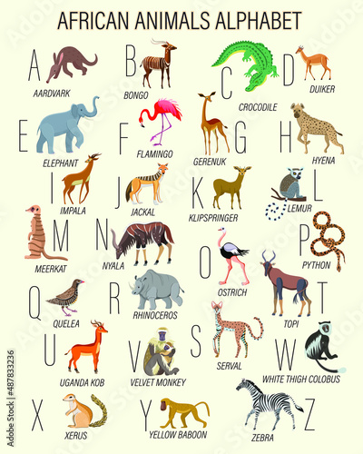 All African animals by alphabet. Aardvark,  lemur, topi, white thigh colobus, python,   gerenuk, crocodile, baboon, duiker etc. photo