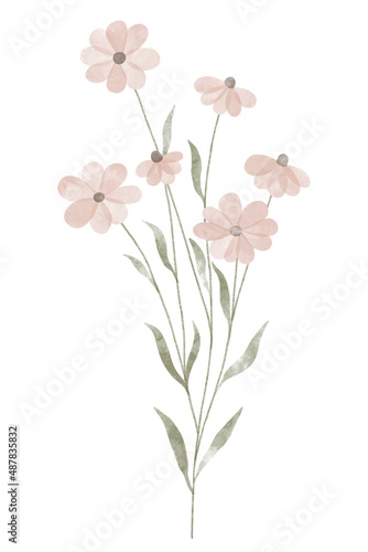 Watercolor trendy flower. Vector illustration for web, app and print. Elegant feminine shape floristic isolated daisies flowers. Garden, botanical, minimalistic floral element.