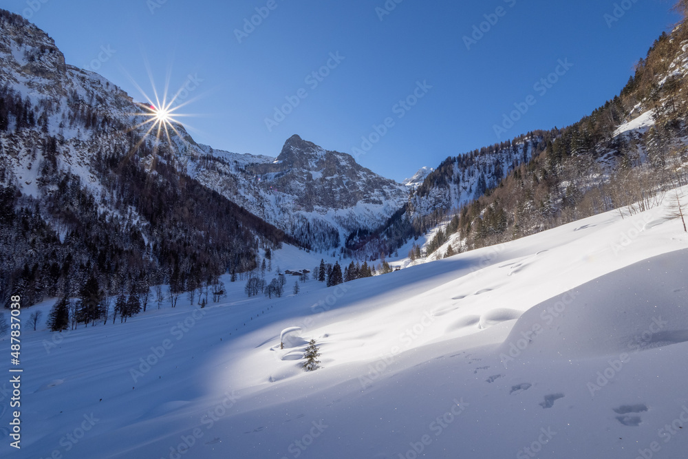 Winterzauber in Flachau Marbachalm und Winterbauer