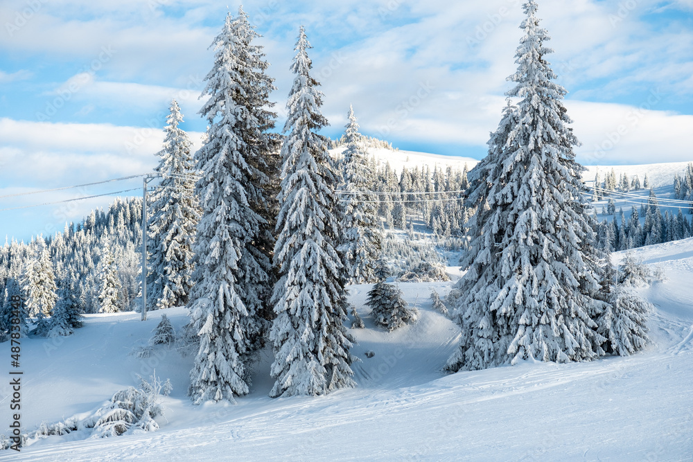 View of the Carpathians in winter, Romania View of the Carpathians in winter, Romania