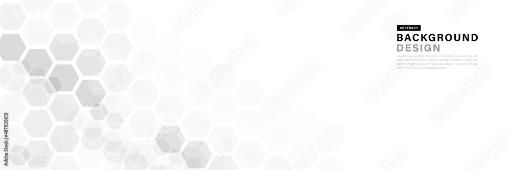 Abstract white and gray hexagon geometric shape background. Modern simple geometric pattern design. Overlay hexagon shapes graphic element. Suit for cover, poster, advertising, website, brochure