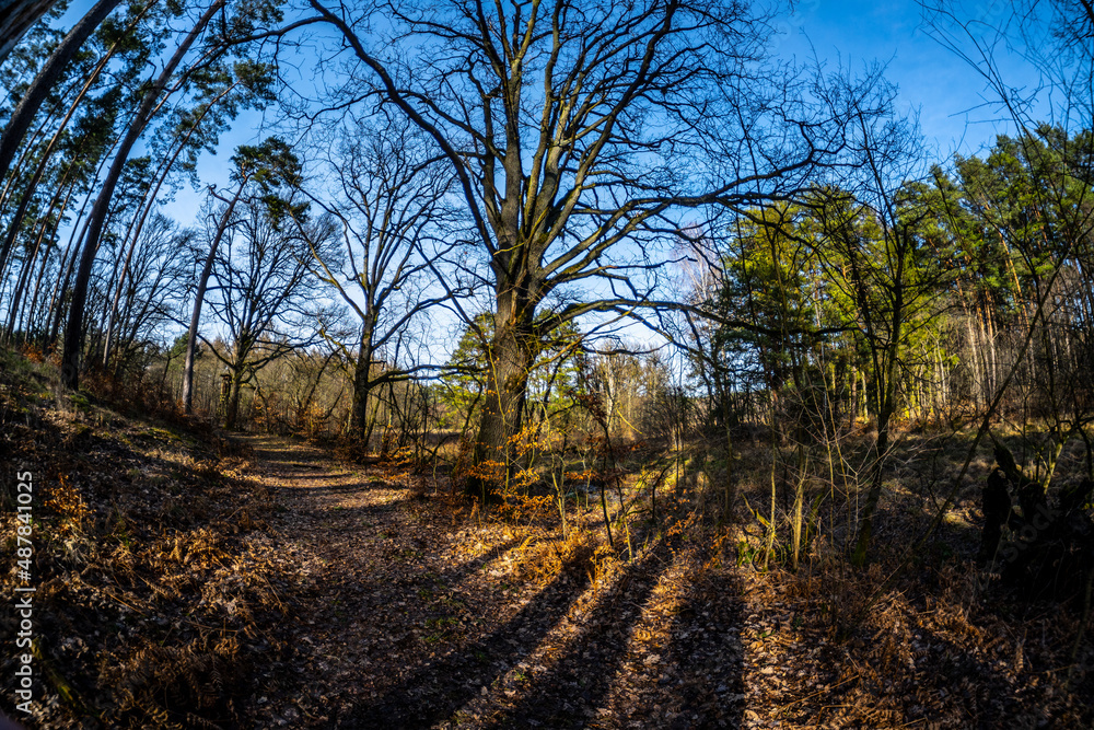 Obraz premium Brandenburg im Weitwinkel 2 - Tegeler Fließ