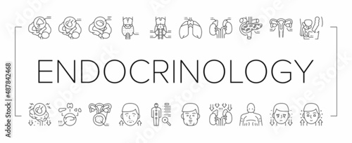 Endocrinology Medical Disease Icons Set Vector .