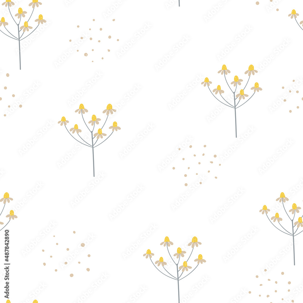 Seamless pattern of chamomile inflorescences ​on white background for fabric textile, print