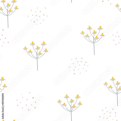 Seamless pattern of chamomile inflorescences ​on white background for fabric textile, print