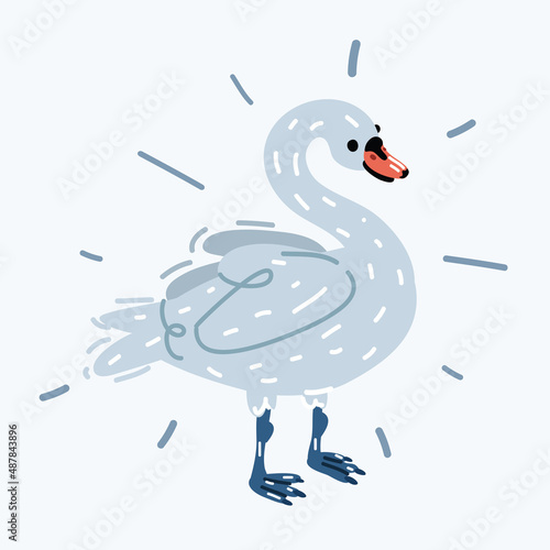 Fototapeta Naklejka Na Ścianę i Meble -  Vector illustration of funyy swan