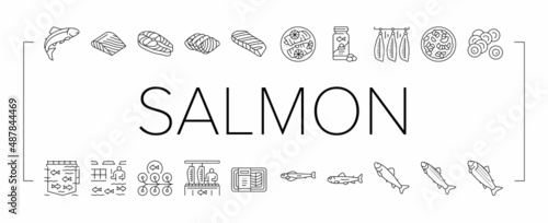 Salmon Fish Delicious Seafood Icons Set Vector .