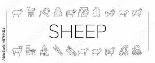 Sheep Breeding Farm Business Icons Set Vector .