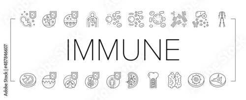 Immune System Disease And Treat Icons Set Vector .