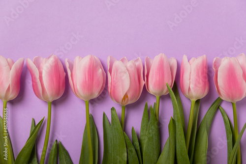 Fototapeta Naklejka Na Ścianę i Meble -  Pink tulips on a lilac background.Top view. Spring bouquet.Holiday concept.Women's day, Valentine's day,Easter, birthday.Copy space.