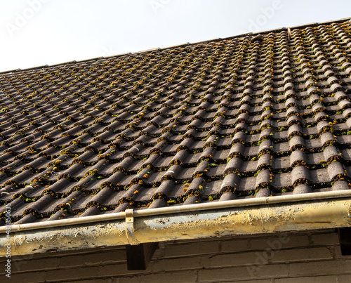 Dach roof Moos moss Dreck dirt Reinigung cleaning Dachpfanne roof tiles Dachbeschichtung Dachflächenveredelung roof coating Verschmutzung