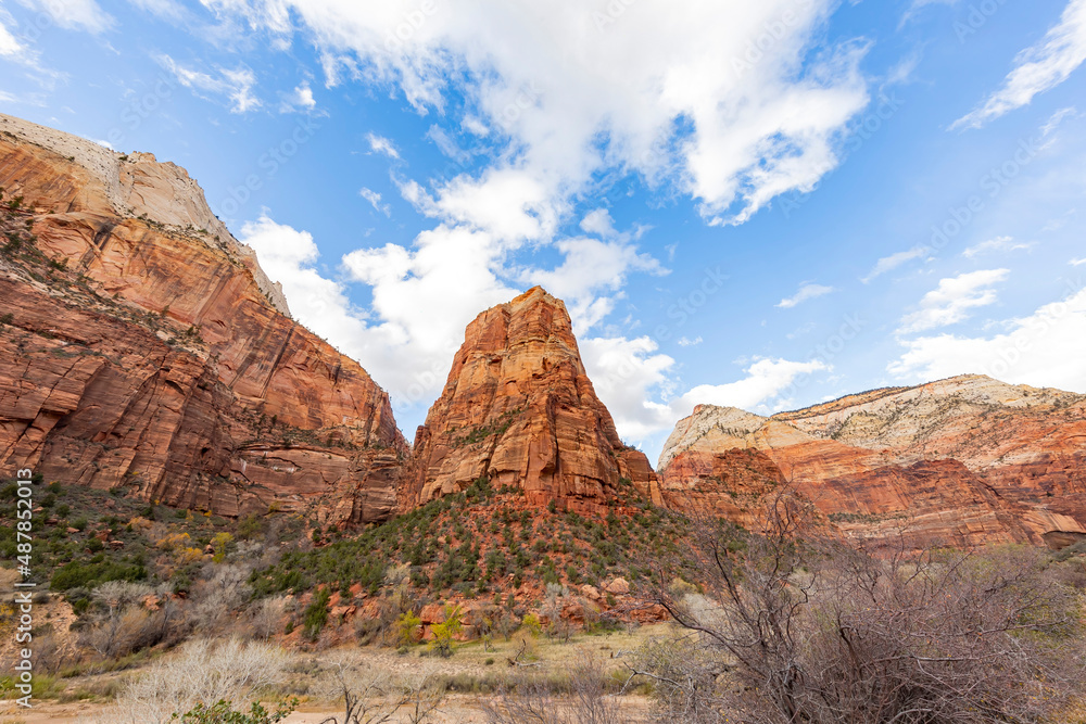 Fototapeta premium Daytime view of the famous Zion National Park