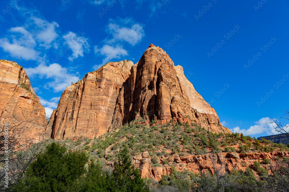 Daytime view of the famous Zion National Park Daytime view of the famous Zion National Park