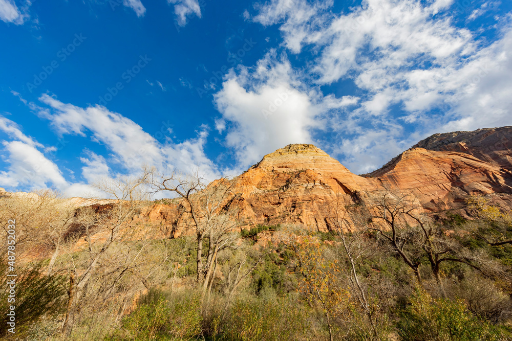 Daytime view of the famous Zion National Park Daytime view of the famous Zion National Park