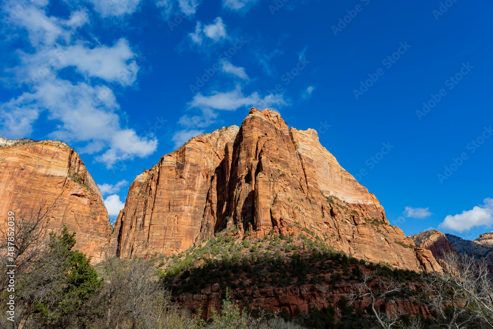 Daytime view of the famous Zion National Park