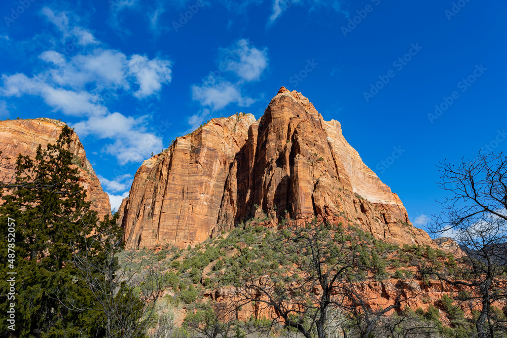 Fototapeta premium Daytime view of the famous Zion National Park