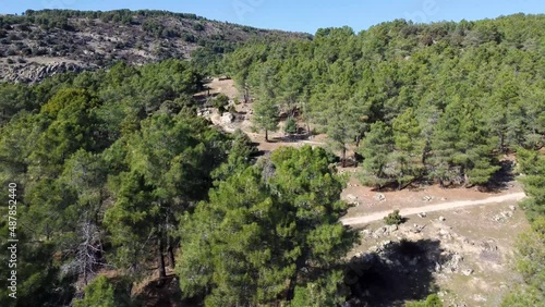 Aerial view, ascending a mountainside covered by a pine forest, travel, 4k resolution