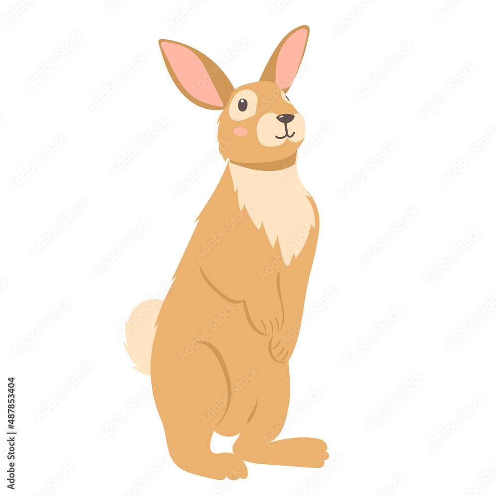hare, rabbit flat design, on white background isolated vector hare, rabbit flat design, on white background isolated vector