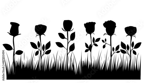 roses grow silhouette, isolated vector