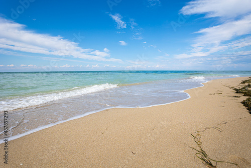 Fototapeta Naklejka Na Ścianę i Meble -  Beautiful bright colorful tropical summer background. Soft turquoise blue ocean wave on golden sandy beach.