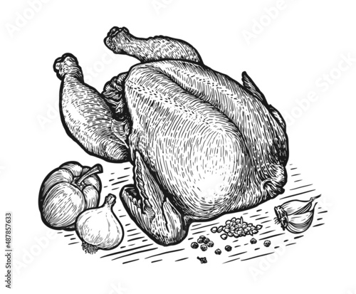 Stuffed chicken or turkey and ingredients. Poultry carcass, broiler meat vector. Vintage illustration sketch for butcher shop, farming products