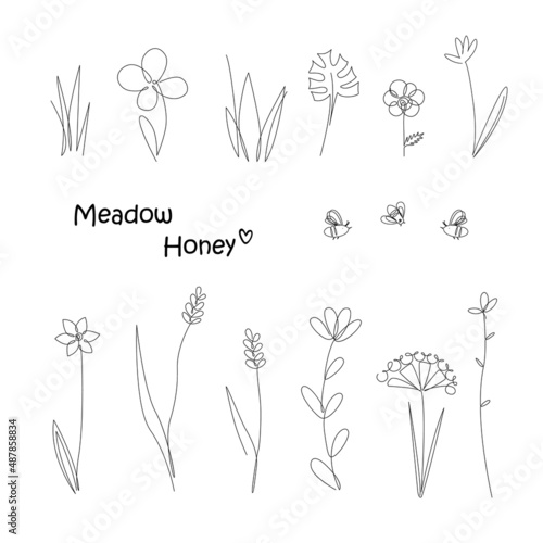 Continuous Line Drawing Set Of Meadow Plants and Bees. Honey Flowers Isolated on White Background, One Line Illustration. Vector Minimalist Prints Set