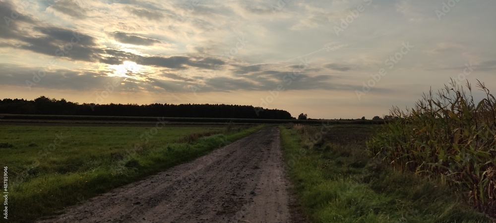 Fototapeta premium Path in the dusk