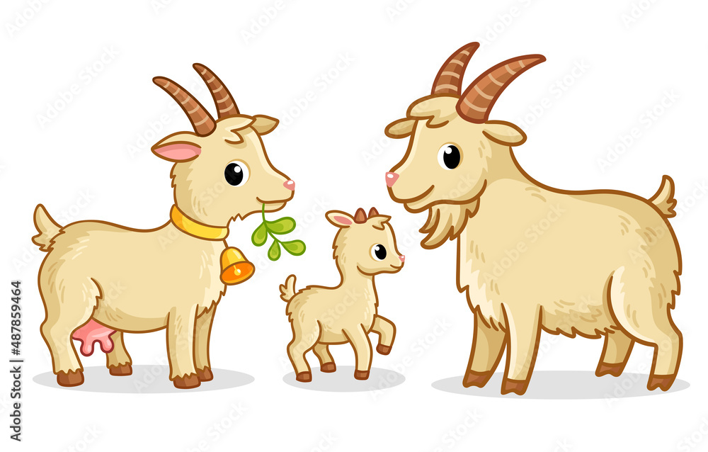 A family of goats stands on a white background. Vector illustration with farm animals A family of goats stands on a white background. Vector illustration with farm animals