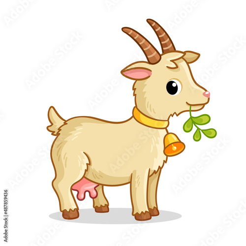 A cute goat with a bell stands and chews grass. Vector illustration with farm animal in cartoon style.