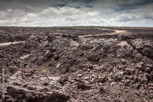 фотографія Winding road and stunning lava rock formations at Hawaii Volcanoes National Park