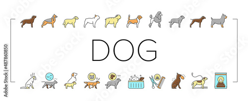 Dog Domestic Animal Collection Icons Set Vector .