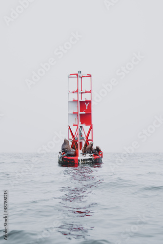 Sea lions on a buoy in the Pacific Ocean off of the Oregon coast