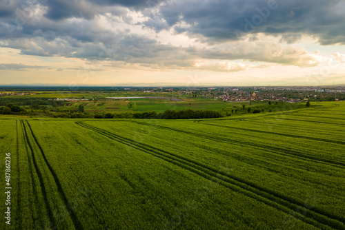 Aerial landscape view of green cultivated agricultural fields with growing crops on bright summer evening.